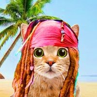skycat 888999 (@benchen01437359) Twitter profile photo