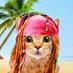 skycat 888999 (@benchen01437359) Twitter profile photo skycat 888999 (@benchen01437359) Twitter profile photo