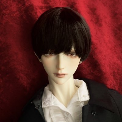 ドール(メイン)アカウント🧸🎈｜SEZZ - Vlad Dracula ver. Limited🦇｜Zuzana🩰｜Haazel - Moratorium Limited🌱｜お迎え待ち ☞  I - Orchidaceae ver. Limited🎓｜ドールオーナーさんと仲よくなりたいです ☺︎