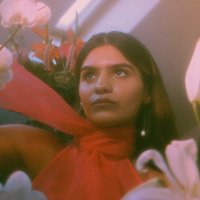 Shalini Rani (@itsshalinirani) 's Twitter Profile