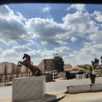 Mustafa Hammad (@hammadkabe65239) 's Twitter Profile
