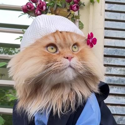 izoyawaheed's profile picture. Everything you can imagine is real. 🌠🖤