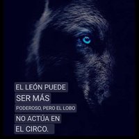 Jhon Greco Flores 14 (@jhonflo80688209) 's Twitter Profile