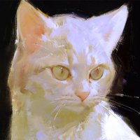 Still Elodes (@elodesnl) 's Twitter Profile