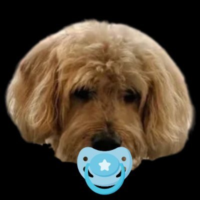 $BABYROCKYC - Solana Co-Founder, Raj Gokal’s dog 🥊🐶
Community-driven and decentralized.
Telegram: https://t.co/UyXoNlCqno