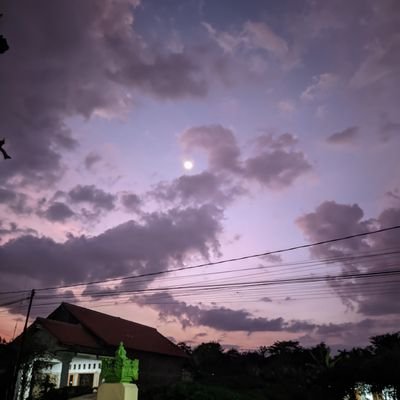 allss88's profile picture. ff