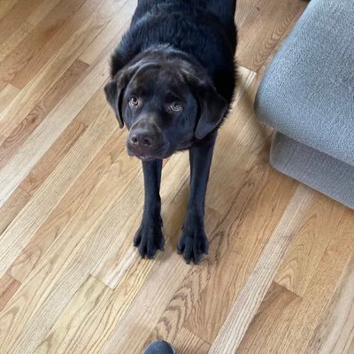 Brucejarvis69's profile picture. 