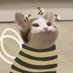 Victor The Bee (@katchublerys) Twitter profile photo Victor The Bee (@katchublerys) Twitter profile photo
