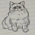 ゅ (@iqs7uuzcf891606) Twitter profile photo