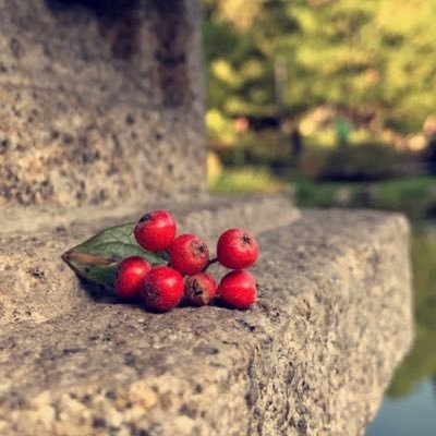 1000_bedoor's profile picture. نحنُ لا ندريُ أيّ أرض وأيّ قلب وأيّ قرار هو الخيرُ لنا... لكننّا نُوقن أن الخير فيما اختاره الله