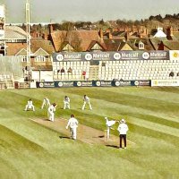 The Pavilion View (@thepavilionview) 's Twitter Profile