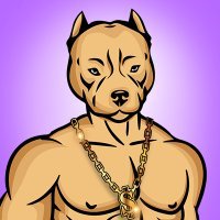 This is the BullyMan NFT collection. this character is based on an American bully dog.