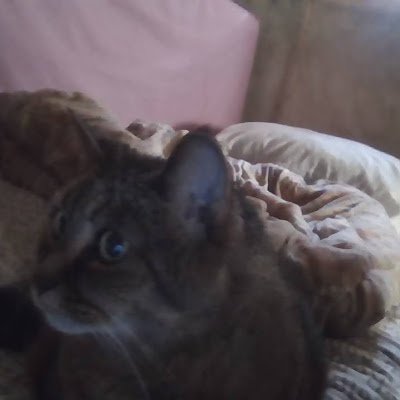 StacySt10598's profile picture. 