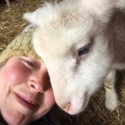 artist/shepherdess … stained glass artist by trade, shepherdess by choice … love spending time with my small flock.  Lambing was such a treat this year!