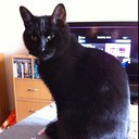 Katie Stock - @Katz358uk - Twitter