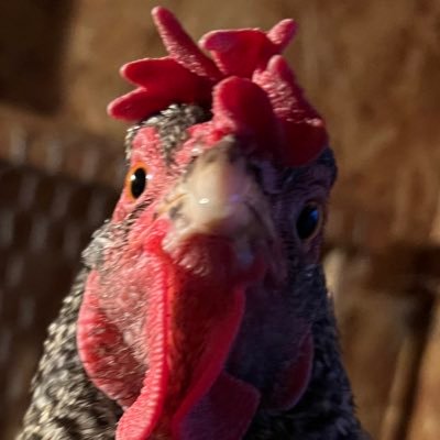 Fiber artist, scientist, and chicken lover She/Her 🌟Comms open 💚 Trades open 💚 https://t.co/g5G7m9Zjn5