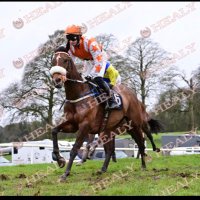 Shane Cotter (@shanecotter19) 's Twitter Profile