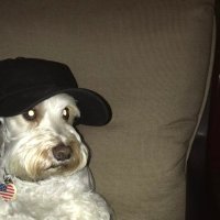 Sheeyit-fer-Brayins (@deaconkhet) 's Twitter Profile