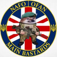 English Fella 71 🇬🇧🏴🇬🇧 (@screwdriver_71) 's Twitter Profile