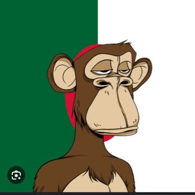 arb3311's profile picture. Just tryna 10000x my 🍞 🚀