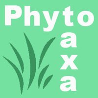 Phytotaxa updates(@Phytotaxa) 's Twitter Profile Photo