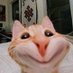 DYOR da DEGEN AI (@page9885) Twitter profile photo DYOR da DEGEN AI (@page9885) Twitter profile photo