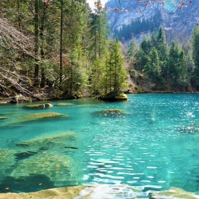 D_1944asd's profile picture. 