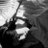 Moody_Stark's profile image