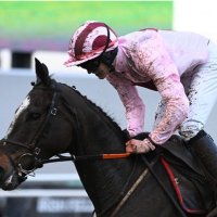 Josh Halford (@joshuahalford05) 's Twitter Profile