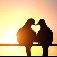 زهره الغامدي (@zhrhlgmdy357615) Twitter profile photo