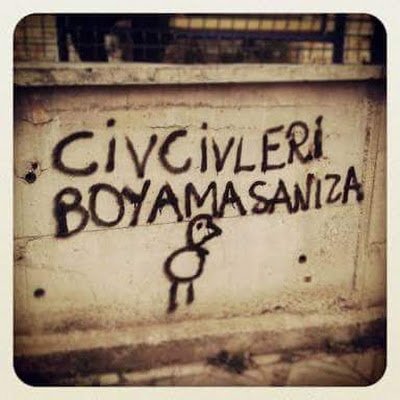 kas_sayi16918's profile picture. Çaykolik