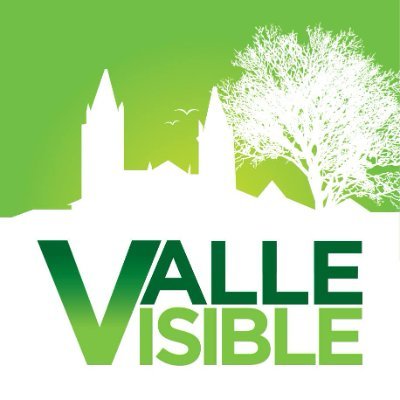 visiblevalle Profile Picture