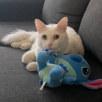 just lu (@__itslu__) 's Twitter Profile