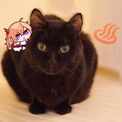 初めまして❗
東方と猫が大好きな影法師です❗

最近、Vtuber（ホロプロ・にじさんじ・ハニプロetc…）にもハマっています♪(*´︶`*)♡

暇な時は、一眼レフで猫や風景を撮ったりしてます♪

これからもよろしくお願いします♪