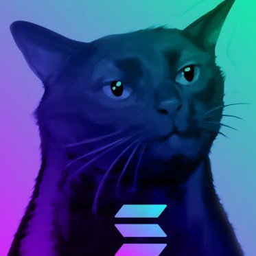 Zoned out cat our viral feline friend hits Solana with his unwavering stoicism!

join our telegram https://t.co/tSnKnp2q5e