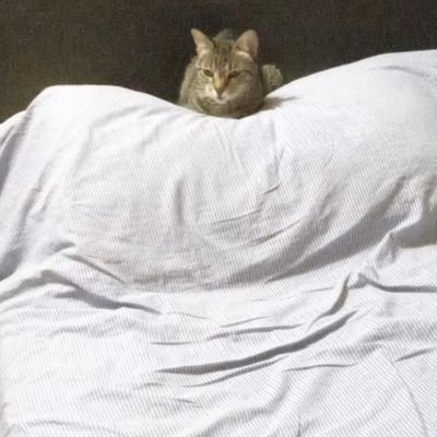 charlybayarsky's profile picture. Futbolista... Ex futbolista... Ex futbolista amateur...