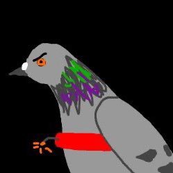 coocoofan's profile picture. love me some $pigeon $Karrat $dickerson
