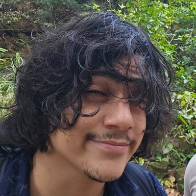 i write computer programs and systems for a lotta people