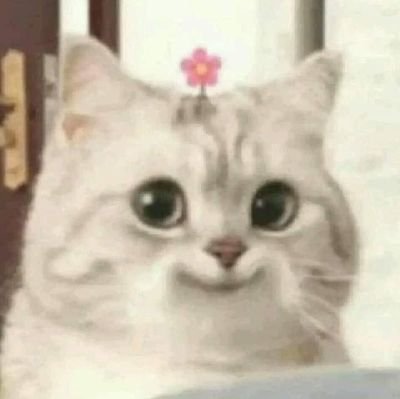le chatさんのプロフィール画像