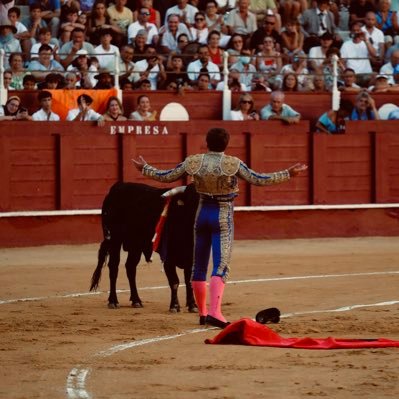 Novillero sin picadores 🍀
Alejandro Duarte 🇪🇸