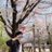 Mtake12345