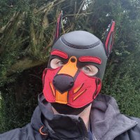 Flash_puppy59 (@flash_puppy59) 's Twitter Profile