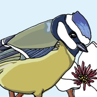 handmadecreativ's profile picture. A collection of some lovely handmade creatives.