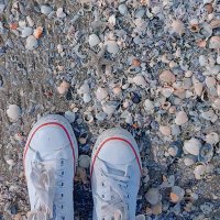 Shrook Moustafa💙🇵🇸 (@moustafa_shrook) 's Twitter Profile