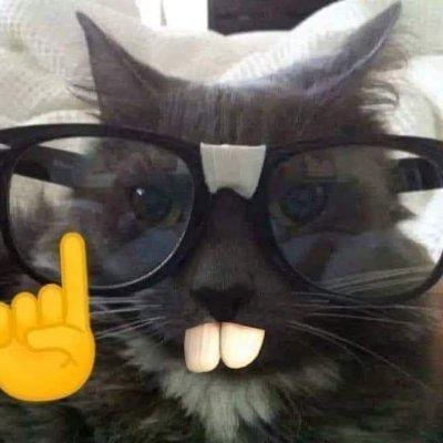 Josema 🐈さんのプロフィール画像
