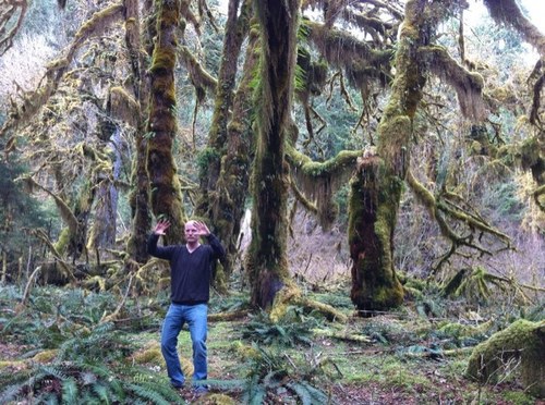 stanni2's profile picture. 