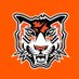 Amherst Tigers Flag Football (@amherstflagfb) Twitter profile photo Amherst Tigers Flag Football (@amherstflagfb) Twitter profile photo