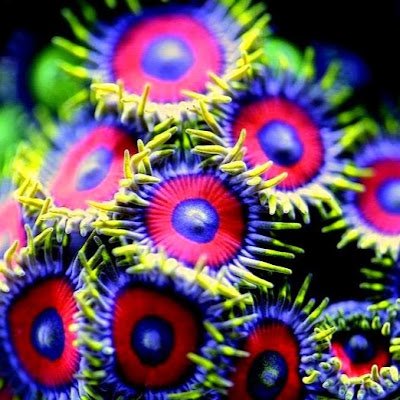 CostisBeck9800's profile picture. 