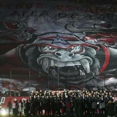 Hincha de Newells Old Boys