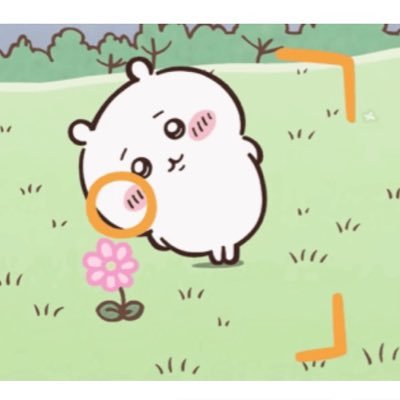 2000andy244's profile picture. 